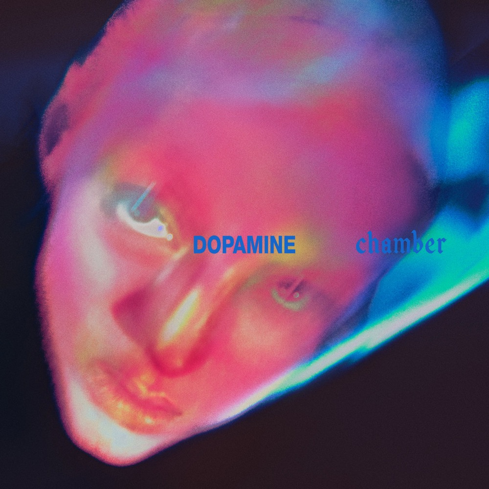 Portada oficial de Dopamine Chamber de Fontaines D.C.: un rostro desenfocado en tonos rosas y azules con el título en letras azules